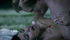 Naughty chick gets bitten and banged by vampire in the grapevine farm.
