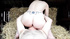 Mature striptease fuck