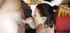 Gf first time cum swallowing homemade