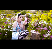 Alice in Wonderland spoof with a tranny twist