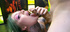 Tattooed horny girl enjoys gangbang and huge facial