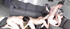 Hot bisexual orgy at rental house