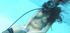 Hot brunette teenager plays with dildo underwater