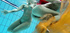 Small tits brunette underwater lesbian fun