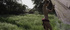 Compilation of young stunners in majestic locales