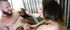 Hottie shared during MMF bisexual threeway fun