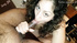 Parents are gone, Indian teen rides stepbro's dick