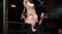 Hottie's big pussy stimulated during hardcoore BDSM