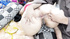 Pretty chubby girl milked and fucked hard