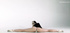 nude ballerina showing flexible