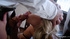 Hot blonde milf sucks dick