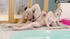 British hot naked girl gives handjob
