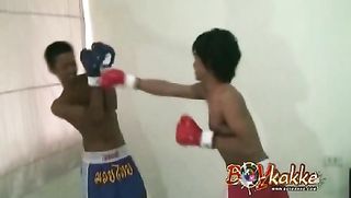 naughty boxers continued their
