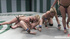 Super hot wrestling group session with some wild bitches