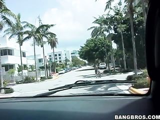 bangbus brings